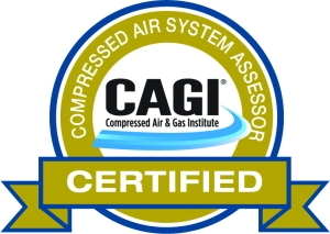 CAGI Certified Compressed Air System Assessor seal.