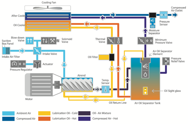 Cutaway flow diagram of a lubricated rotary screw compressor, colour-coded to trace ambient air, compressed air, hot and cold lubrication oil and the oil-air mixture through the intake valve, airend, separator tank, oil filter and coolers to the outlet.