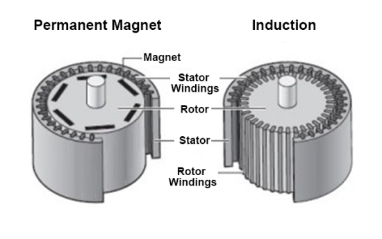 Cutaway comparison of a permanent magnet motor and an induction motor, labelling the magnet, stator windings, rotor, stator and rotor windings on each.