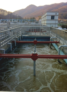 Basin