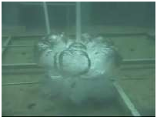 Pat. Bubble System