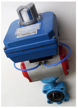 Butterfly Valve with DVP