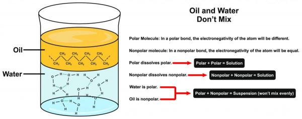 Why Oil and Water Wont Mix